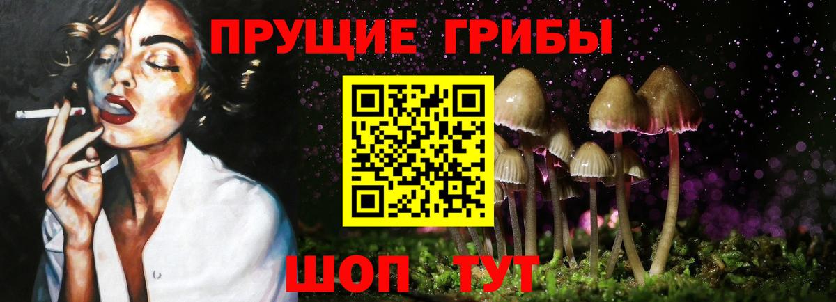 Рославль  Галлюциногенные грибы прущие грибы  Вход с VPN  Галлюциногенные грибы Psilocybe 